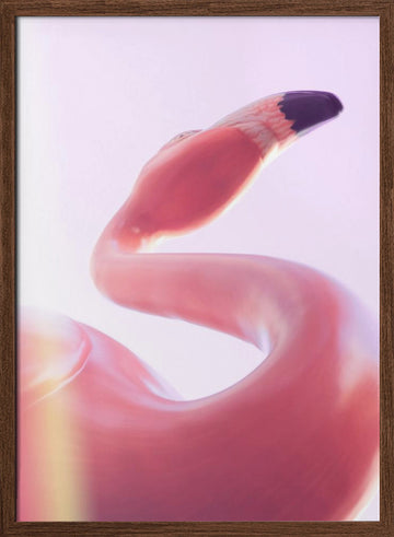 Graceful Pink Flamingo | Poster - Walnut Frame Interior