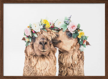 Boho Alpacas | Poster - Walnut Frame Interior