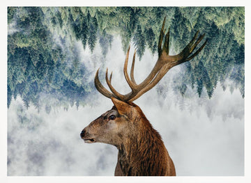 The Deer and the woods | Poster - White Frame Interior