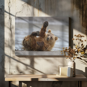 Playful Grizzly Cub | Canvas - Room Interior 2