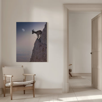 Mountain Goat Moonrise | Canvas - Room Interior 1
