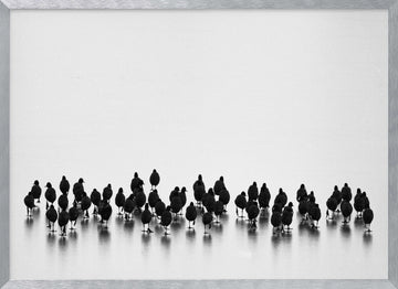 Black Birds On Ice | Poster - Silver Frame Interior