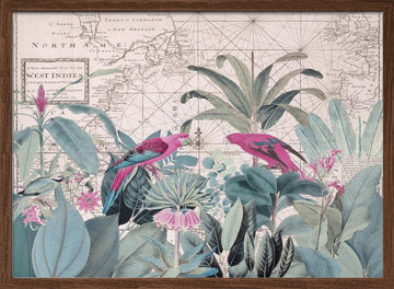 Tropical Map Parrots | Poster - Walnut Frame Interior