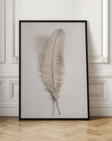 Delicate Light Feather | Poster - Room Interior 1