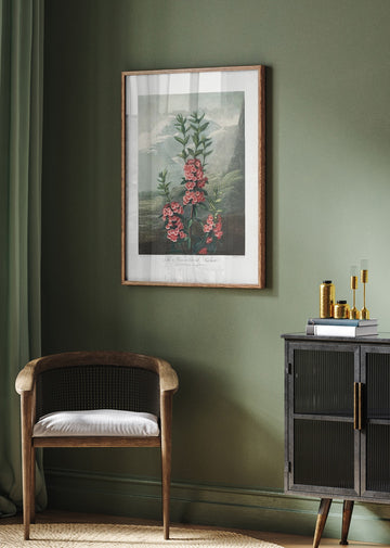 The Narrow–Leaved Kalmia from The Temple of Flora (1807) | Poster - Room Interior 2