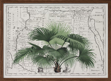 Vintage Palm on Africa Map | Poster - Walnut Frame Interior