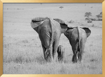 African Elephant Family | Poster - Gold Frame Interior