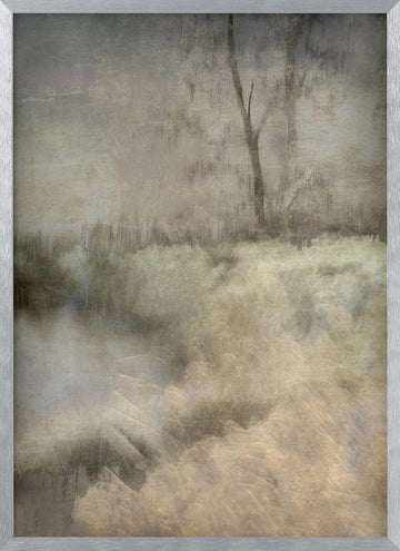 Little ven | Poster - Silver Frame Interior