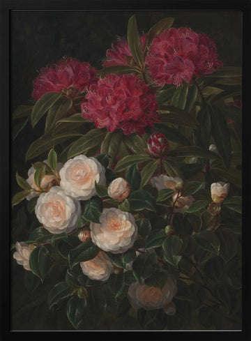 Camellias and Rhododendrons By Johan Laurentz Jensen | Poster - Black Metal Frame Interior