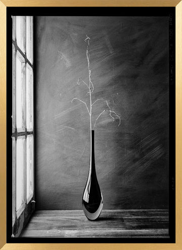 Minimalist Branch Vase | Poster - Gold Frame Interior