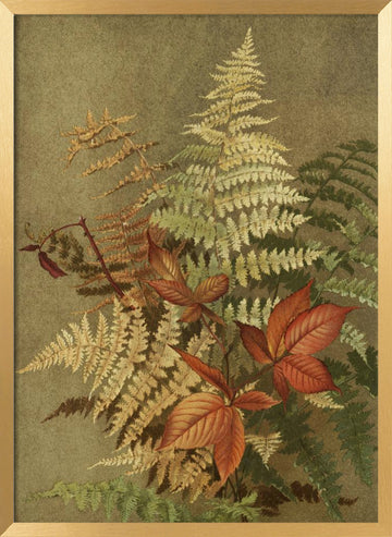 Autumn Ferns | Poster - Gold Frame Interior