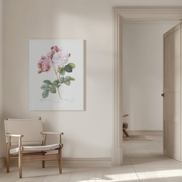 Rosebush, Les Roses (1817–1824) | Canvas - Room Interior 1