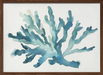 Turqoiuse Coral | Poster - Walnut Frame Interior