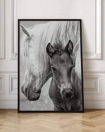 Mare and Foal | Poster - Room Interior 1