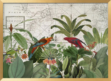 Tropical Map Exploration | Poster - Gold Frame Interior