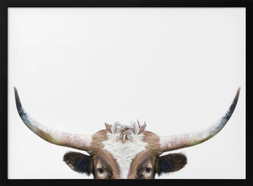 Peeking Longhorn Cow | Poster - Black Metal Frame Interior