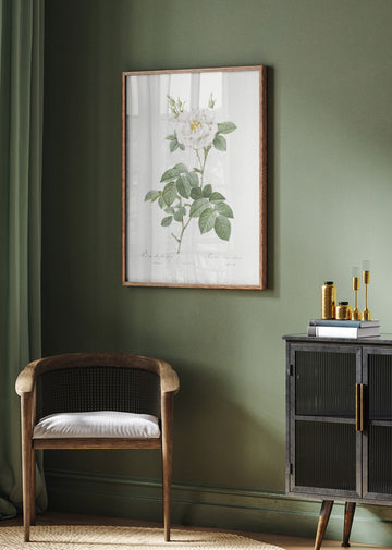 Rosa Alba Flore Pleno, Les Roses (1817–1824) | Poster - Room Interior 2