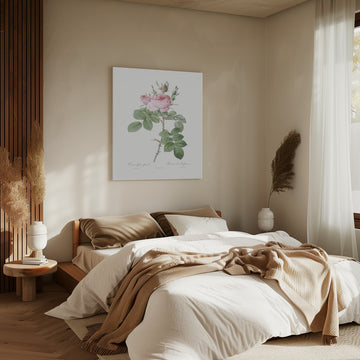 Rosa Bifera Officinalis,les Roses (1817–1824) | Canvas - Room Interior 2