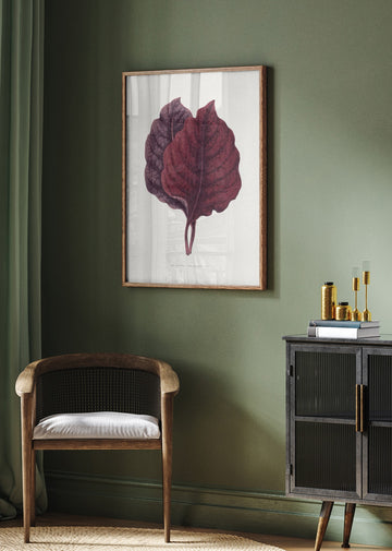 Pink Amarantus Leaf Illustration | Poster - Room Interior 2