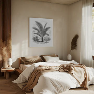 Vintage Palm Tree Drawing Vii | Canvas - Room Interior 2