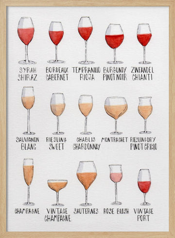 Wine Glass Varieties | Poster - Wood Frame Interior