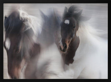 Spirited Horse Motion | Poster - Black Metal Frame Interior