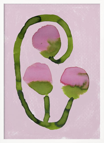 Abstract Pink Blooms | Poster - White Frame Interior