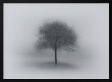 Misty Solitary Tree | Poster - Black Metal Frame Interior