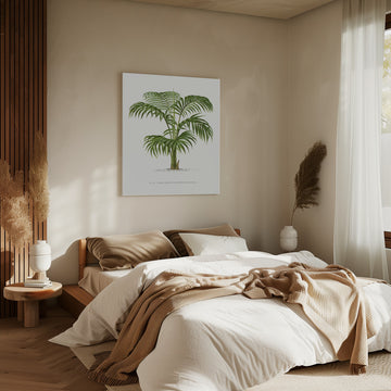 Kentia Vii | Canvas - Room Interior 2