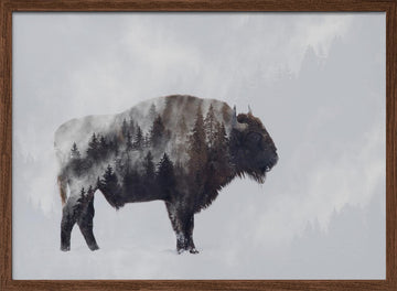 Wild Bison Forest | Poster - Walnut Frame Interior