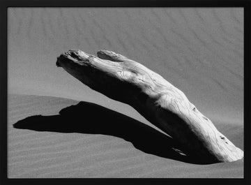 Desert Driftwood Shadow | Poster - Black Metal Frame Interior