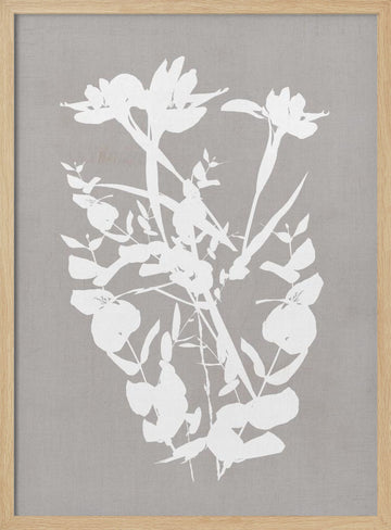 Modern Botanical Silhouettes | Poster - Wood Frame Interior