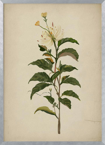 Elegant Botanical Bloom | Poster - Silver Frame Interior