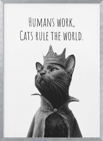 Majestic Cat King | Poster - Silver Frame Interior