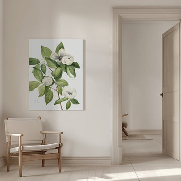 Virginia Stewartia (1925) | Canvas - Room Interior 1