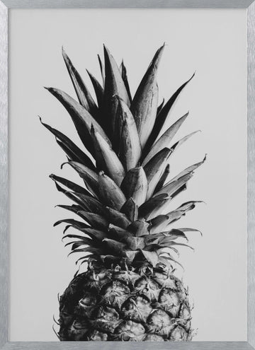 Black and White Pineapple | Poster - Silver Frame Interior