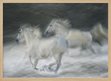 Dreamy White Horses | Poster - Wood Frame Interior