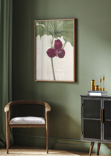 Sweet Trillium | Poster - Room Interior 2