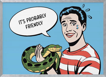 It's Probably Friendly | Poster - Silver Frame Interior