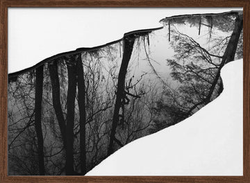 Winter Tree Reflection | Poster - Walnut Frame Interior