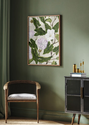 Bindweed Pohu By Sarah Featon (1848–1927) | Poster - Room Interior 2