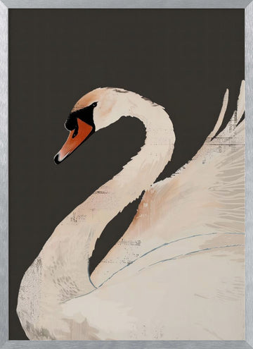 Graceful White Swan | Poster - Silver Frame Interior