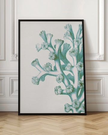 Serene Teal Coral | Poster - Room Interior 1