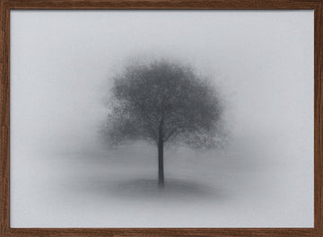 Misty Solitary Tree | Poster - Walnut Frame Interior