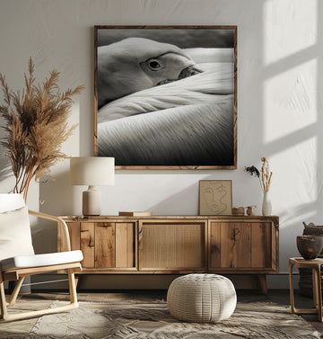 Calm Pelican Close-up | Poster - Room Interior 2