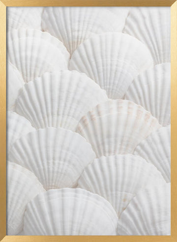 Pristine White Scallops | Poster - Gold Frame Interior