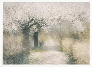 Cherry blossom | Poster - White Frame Interior