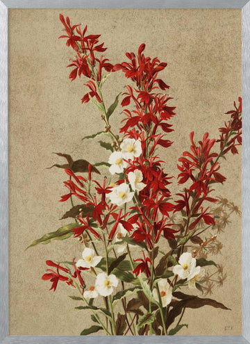 Cardinal Flowers | Poster - Silver Frame Interior
