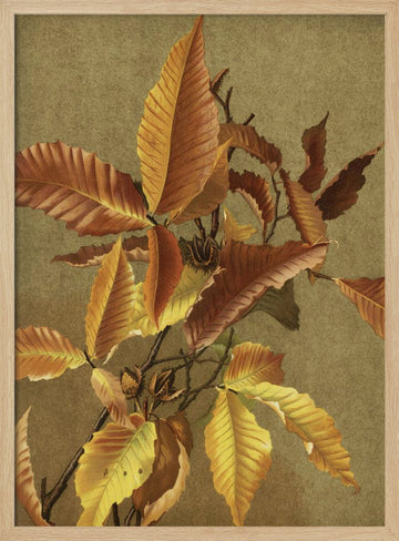 Autumn Leaves No. 3 Beech By Ellen Thayer Fisher | Poster - Wood Frame Interior