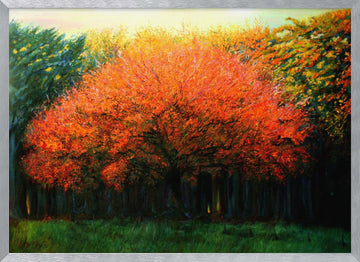 Vibrant Fall Tree | Poster - Silver Frame Interior